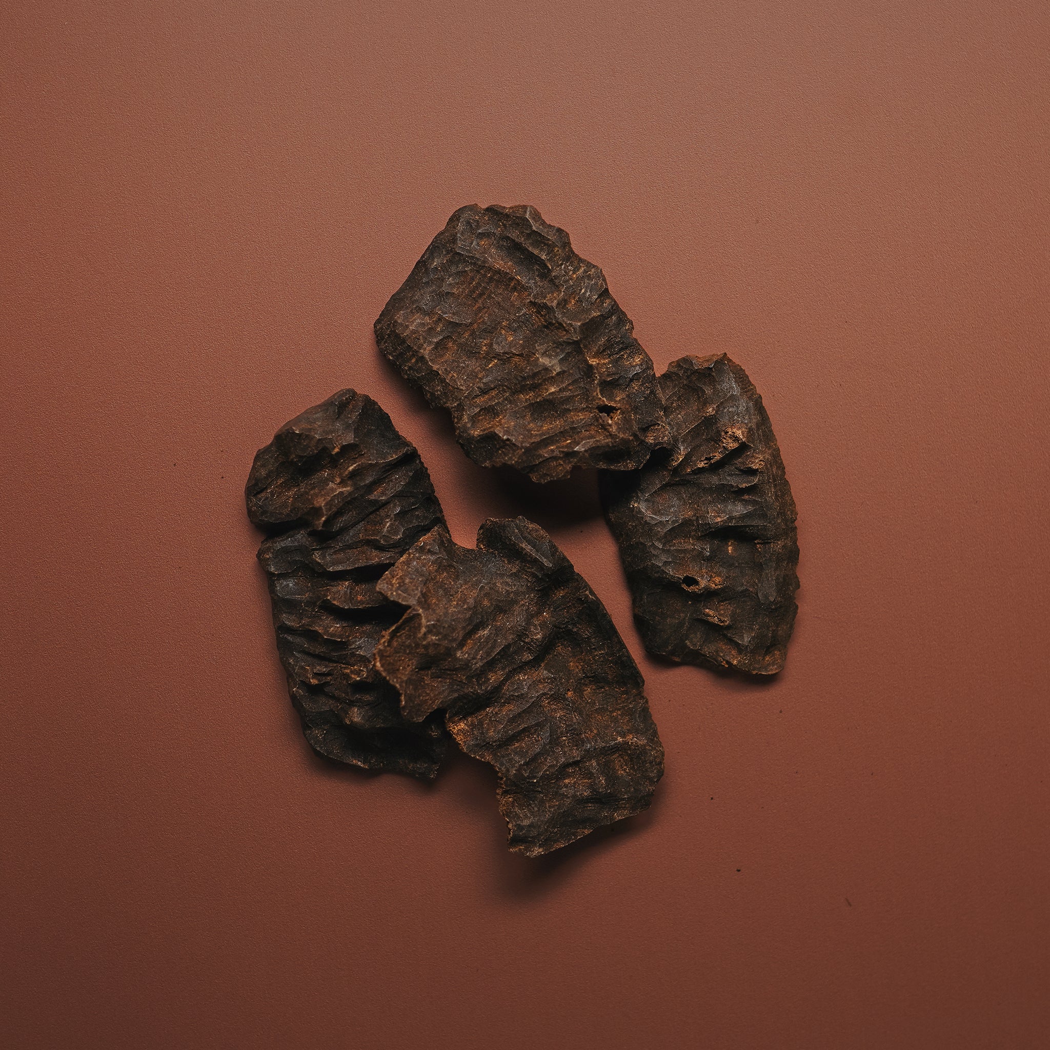 Char Bhutan